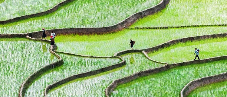 CA88(中国区)有限公司 - 官方网站