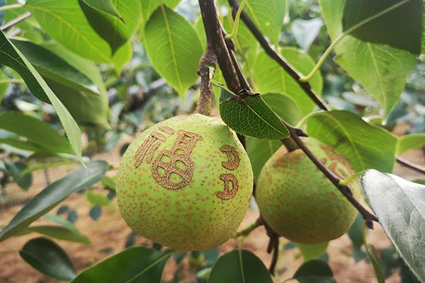 CA88(中国区)有限公司 - 官方网站